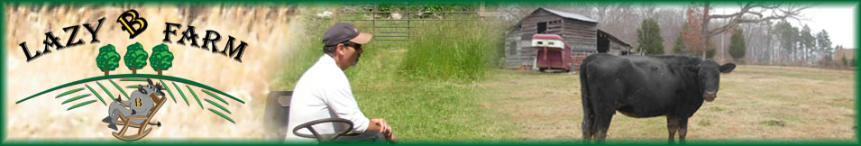 LazyBFarmLogo